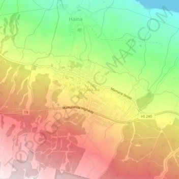 Mapa topográfico Honokaa, altitud, relieve