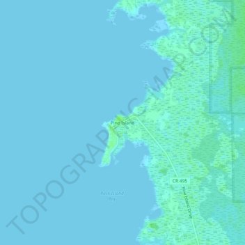 Mapa topográfico Pine Island, altitud, relieve