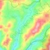 Mapa topográfico Cepães, altitud, relieve