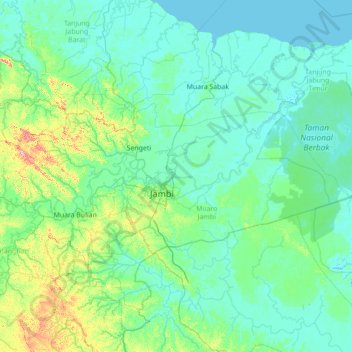 Mapa topográfico Kumpeh Ulu, altitud, relieve