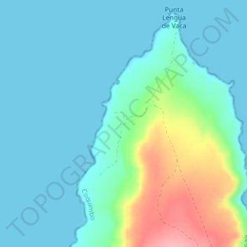 Mapa topográfico Lengua de Vaca, altitud, relieve