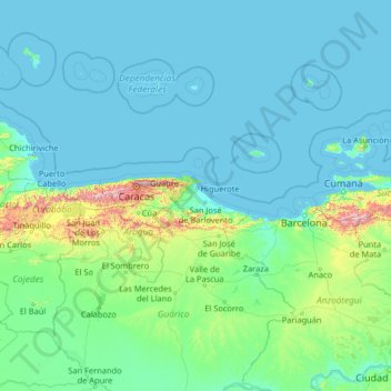 Mapa topográfico Palma Sola, altitud, relieve