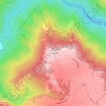 Mapa topográfico Torre Alfina, altitud, relieve