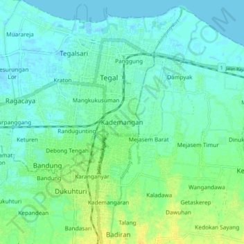 Mapa topográfico Kademangan, altitud, relieve