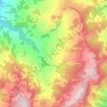 Mapa topográfico Roncastaldo, altitud, relieve