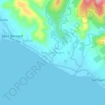 Mapa topográfico New Guinsaugon, altitud, relieve