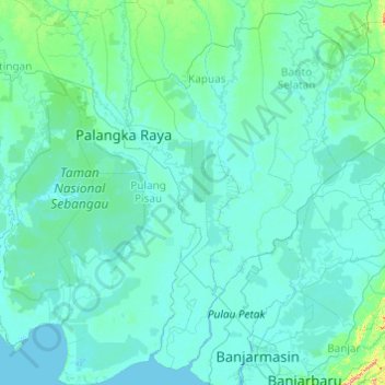 Mapa topográfico Pulang Pisau, altitud, relieve