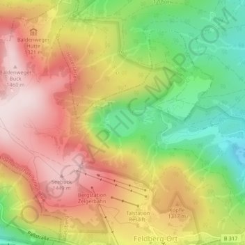 Mapa topográfico Feldsee, altitud, relieve