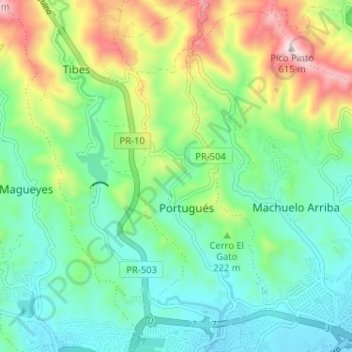 Mapa topográfico Portugués, altitud, relieve
